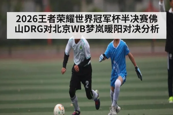 2026王者荣耀世界冠军杯半决赛佛山DRG对北京WB梦岚暖阳对决分析